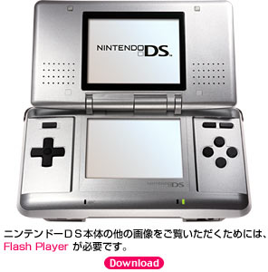 Nintendo DS